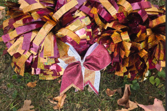 Eureka Cheer Team takes steps towards a brighter Future