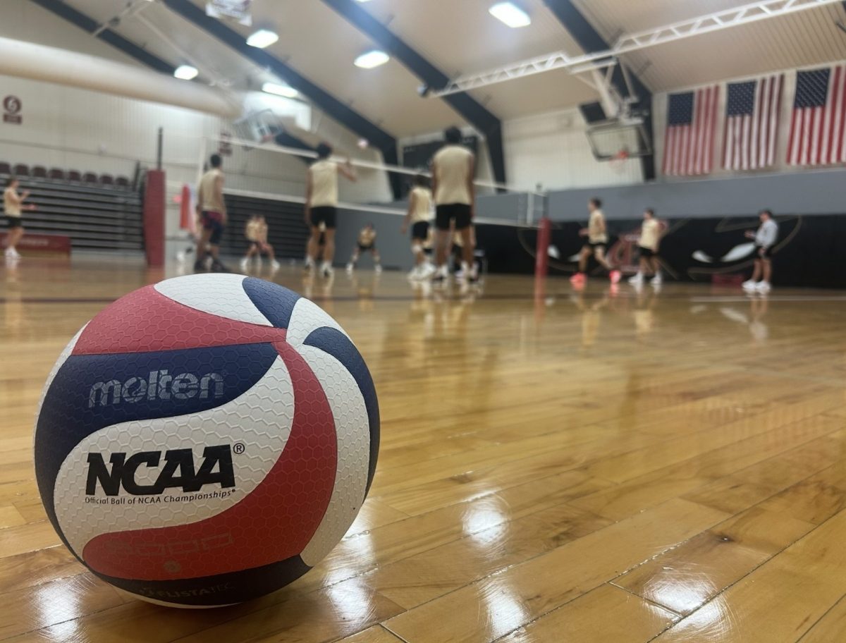 GAME ON: Red Devils Add Men's Volleyball