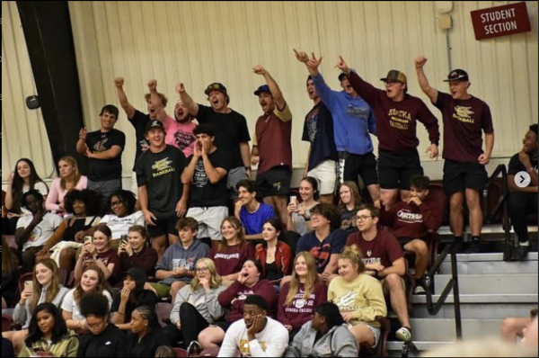 Athletes Mental Health: The Hidden Injuries