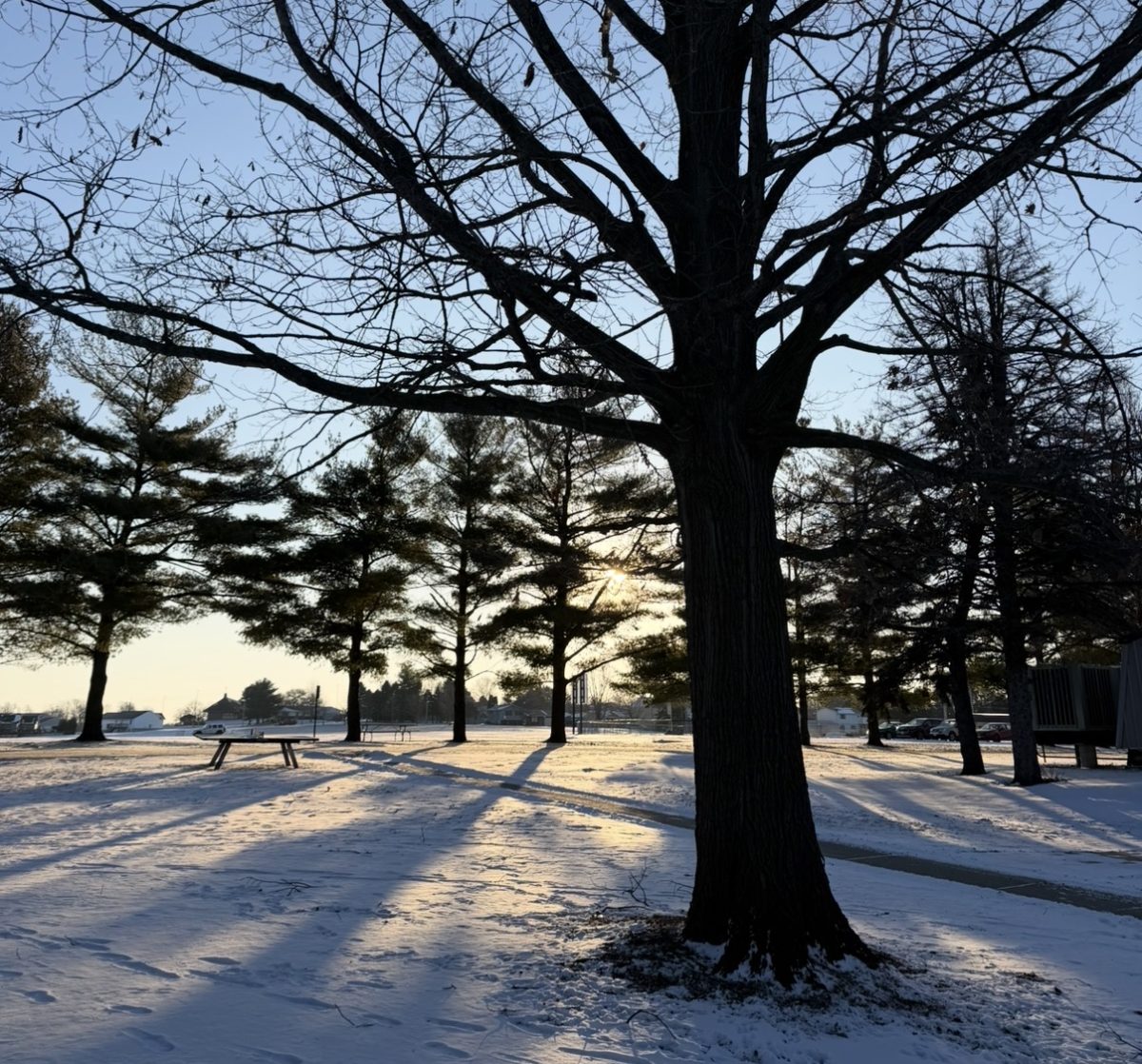 Sunny to Snow, How Out of State Eureka Students Adapt to the Cold